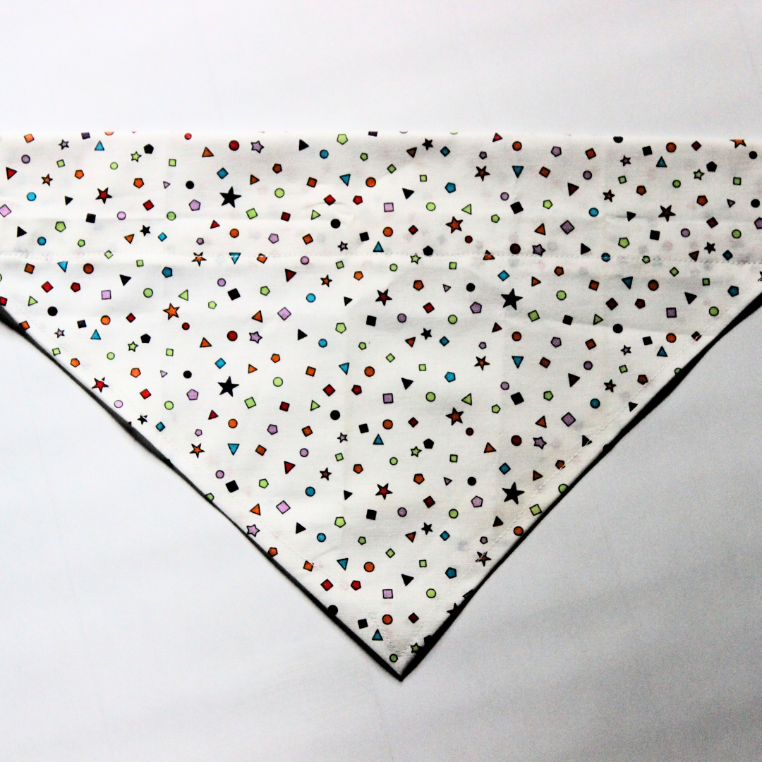 Back to School - limited Edition Bandana