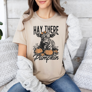 Hey There Pumpkin - Shirt